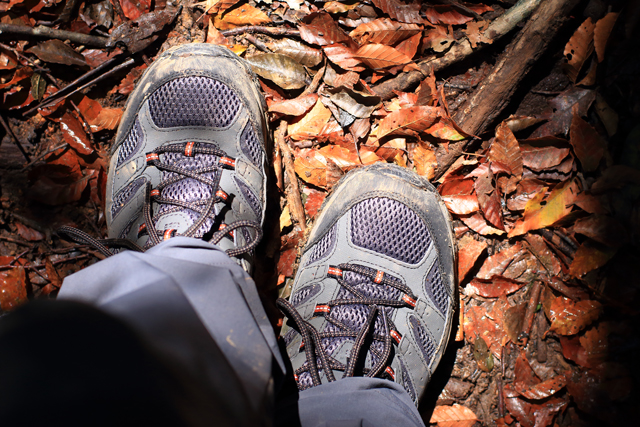 Merrell moab 2 gtx on sale recensione